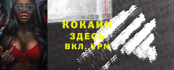 стаф Белокуриха