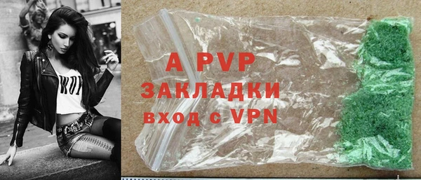 стаф Белокуриха