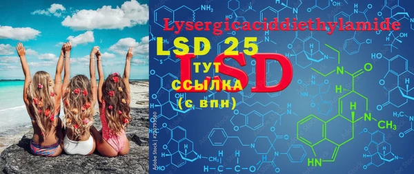 стаф Белокуриха