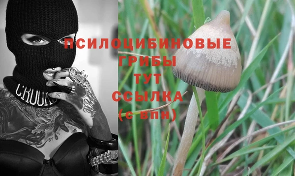 стаф Белокуриха