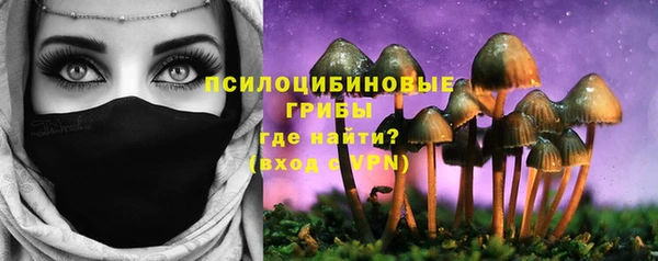 стаф Белокуриха