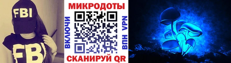 блэк спрут как войти  Богородск  Псилоцибиновые грибы Magic Shrooms 