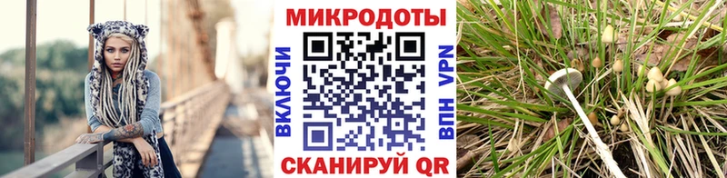 Псилоцибиновые грибы прущие грибы Богородск
